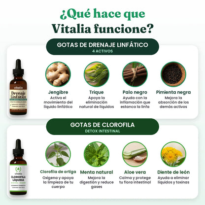 Por qué funciona el Pack Reset Vitalia