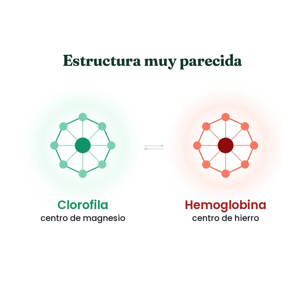 Clorofila líquida Vitalia