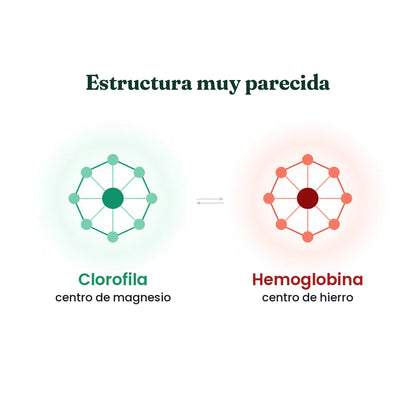 Clorofila líquida Vitalia